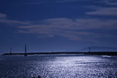 DSC_0824 (Large).JPG